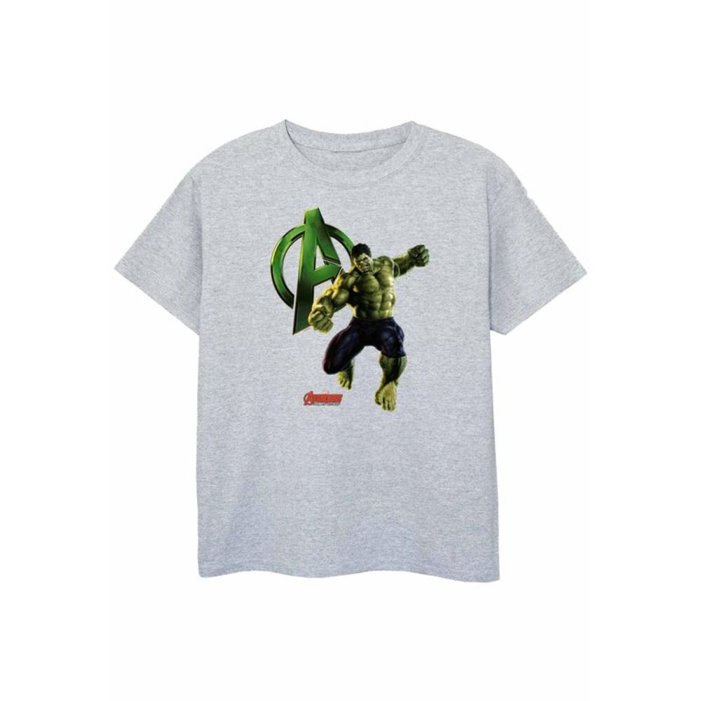 Hulk Boys Pose T-Shirt / Sports Grey